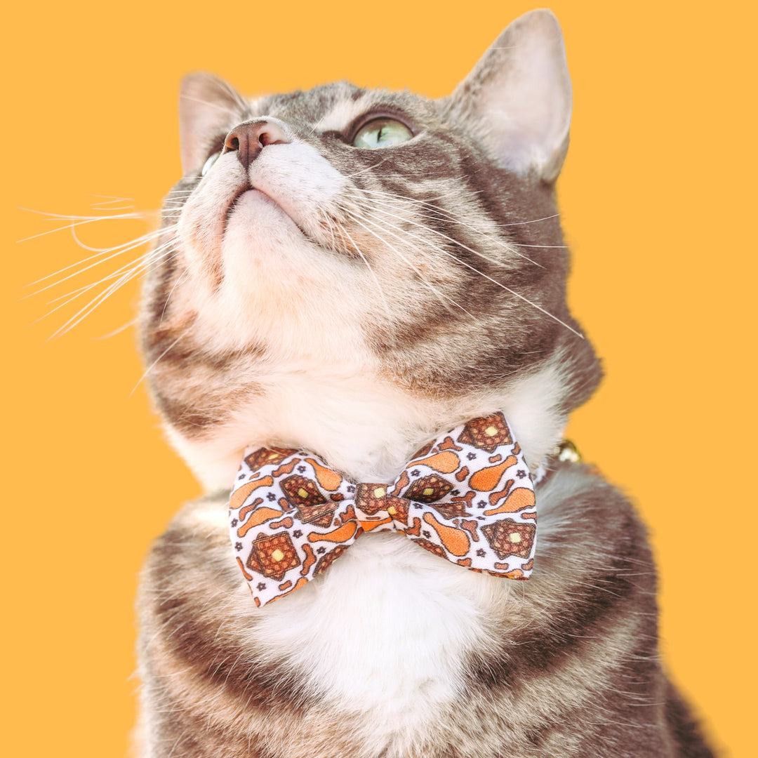 Cat Collar Accessories