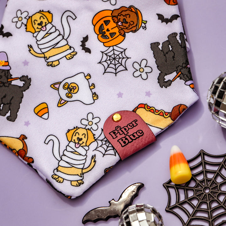 Howlween - Purple Spooky Halloween Dogs Pet Bandana