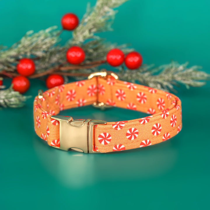 That's What Christmas Mints To Me - Gold Peppermint Christmas Dog Collar