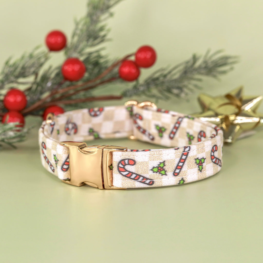 Happy Hollydays - Checkered Candy Cane Christmas Dog Collar