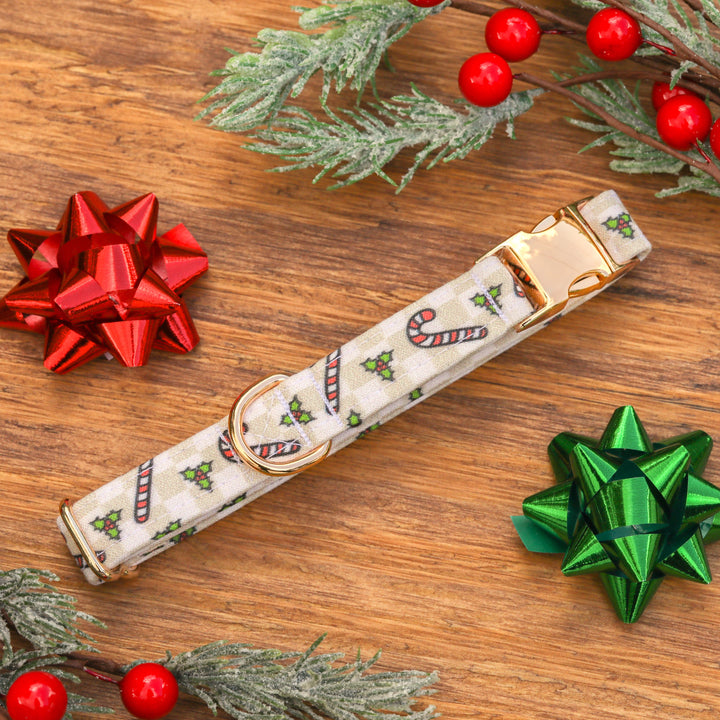 Happy Hollydays - Checkered Candy Cane Christmas Dog Collar