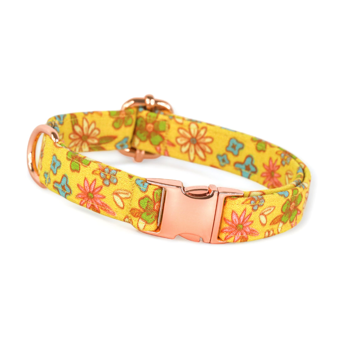 Whimsy - Chartreuse Floral Dog Collar