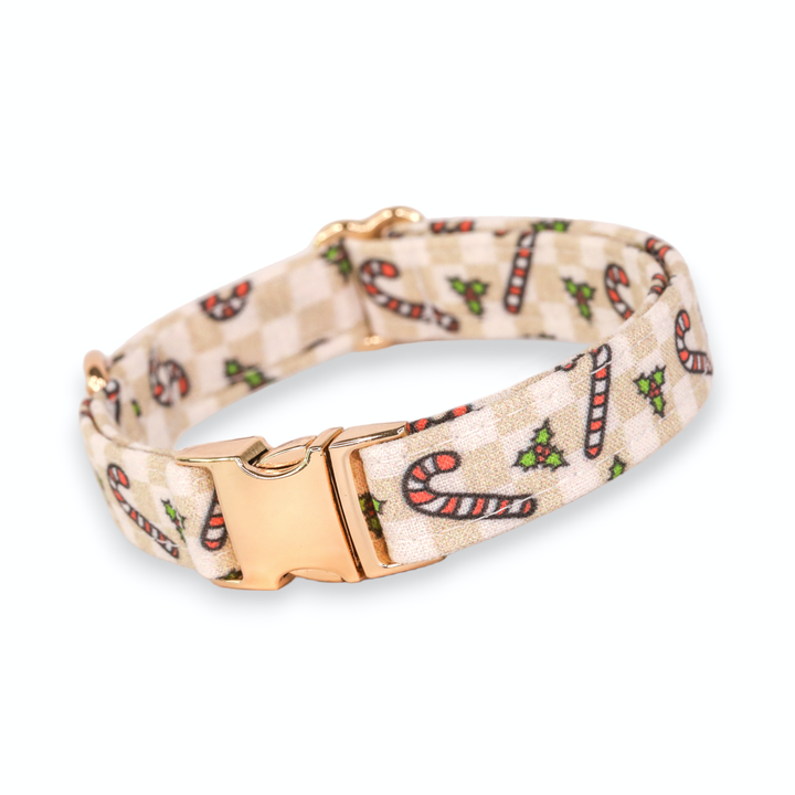 Happy Hollydays - Checkered Candy Cane Christmas Dog Collar