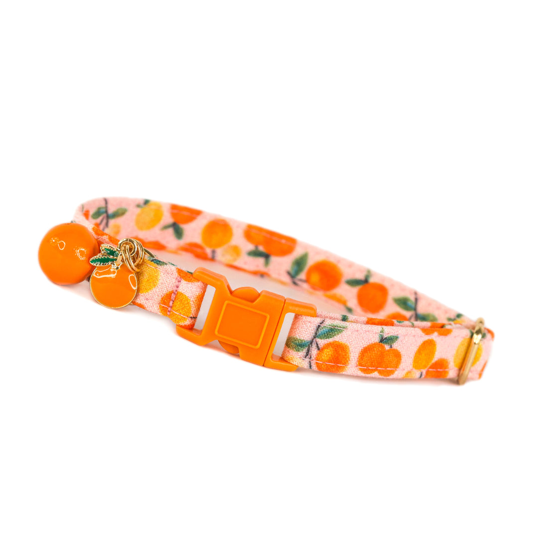 Clementine Cutie - Pink Clementine Cat Collar