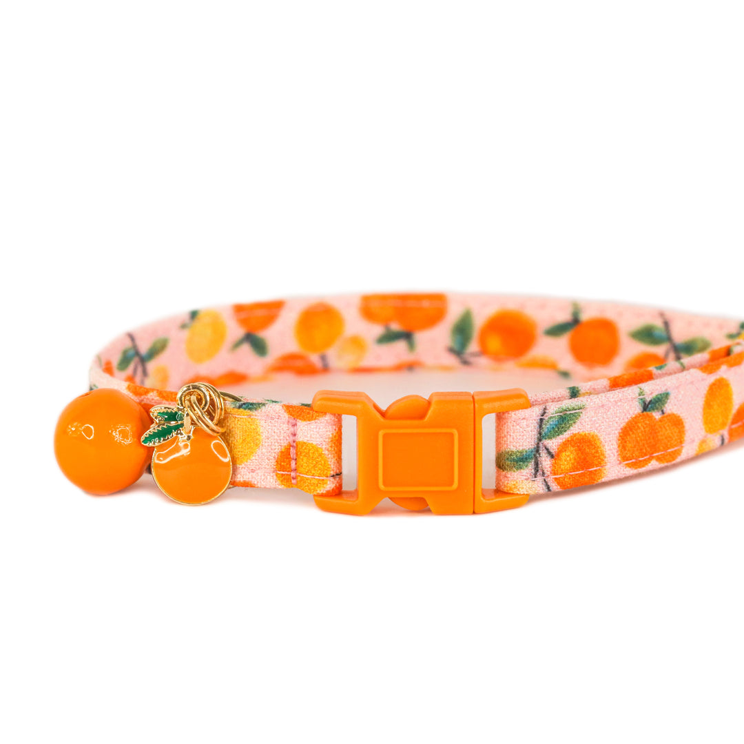 Clementine Cutie - Pink Clementine Cat Collar