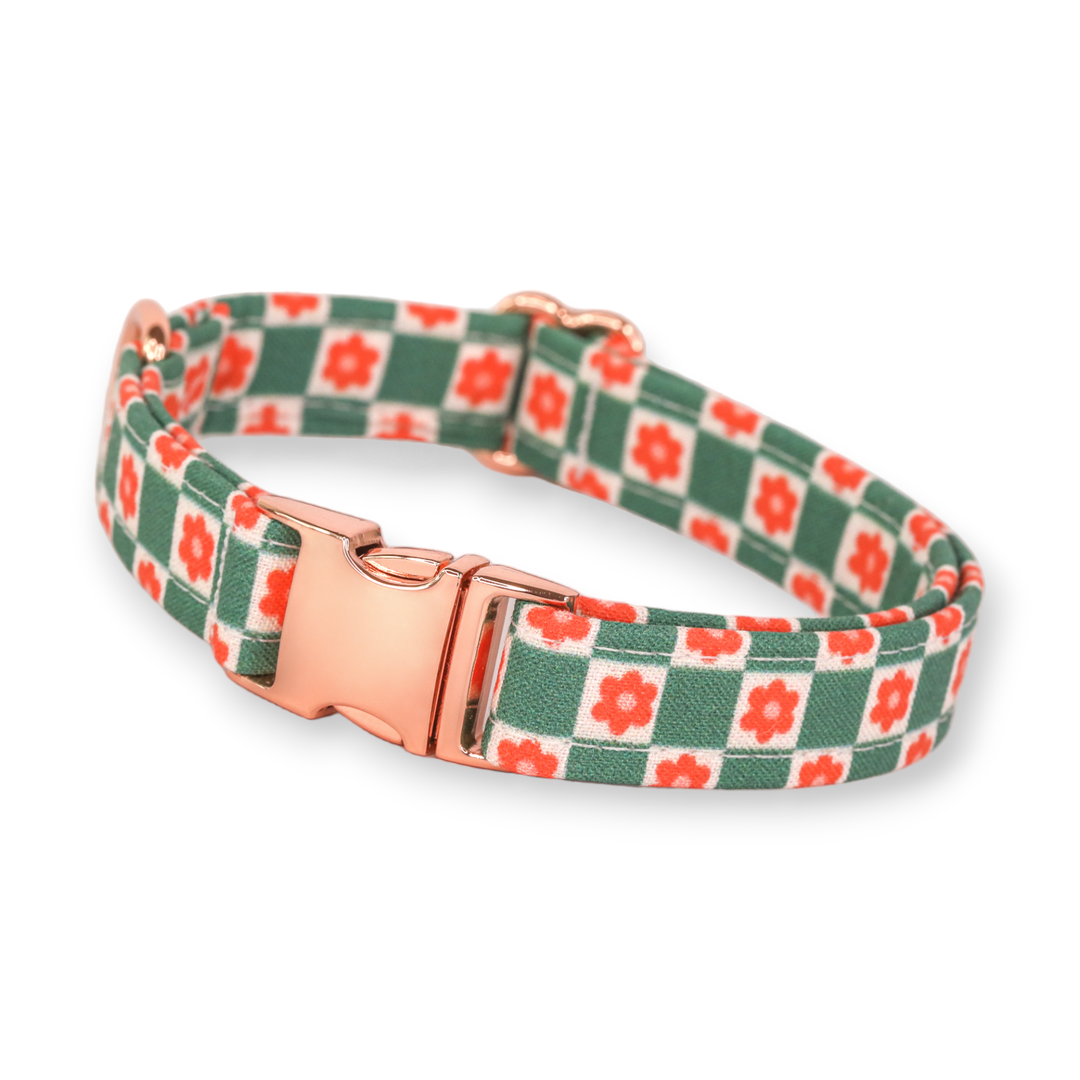 Check Me On The Nice List - Christmas Daisy Checkered Dog Collar