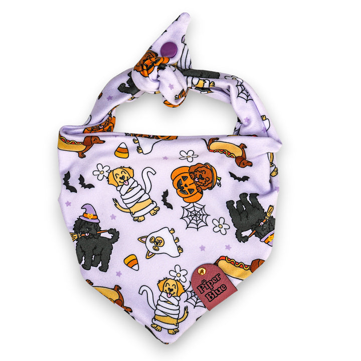 Howlween - Purple Spooky Halloween Dogs Pet Bandana