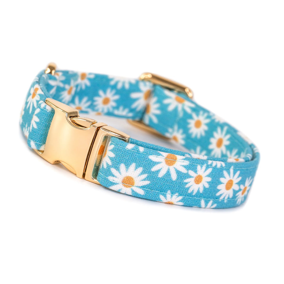 Oopsie Daisy - Blue Daisy Dog Collar