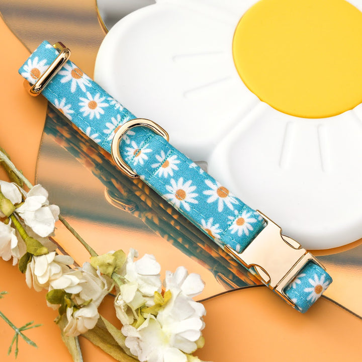 Oopsie Daisy - Blue Daisy Dog Collar