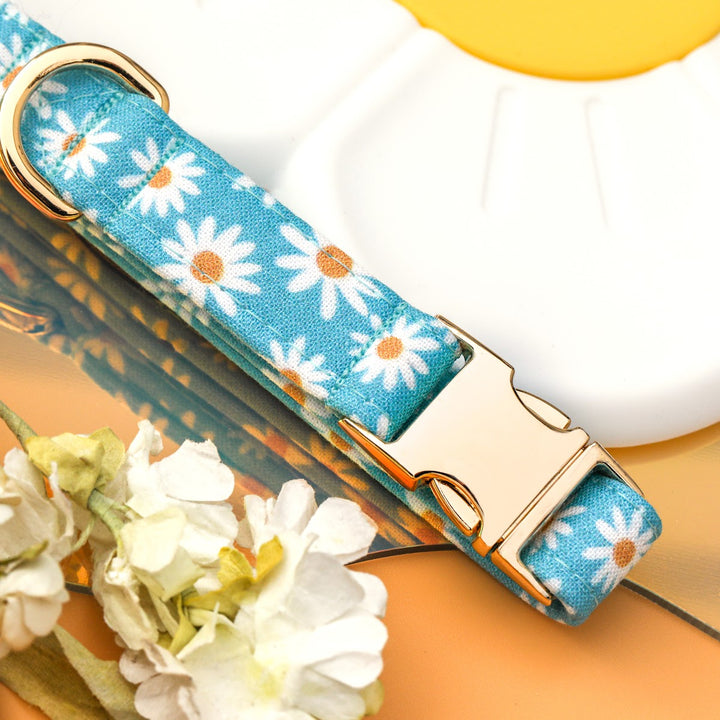 Oopsie Daisy - Blue Daisy Dog Collar