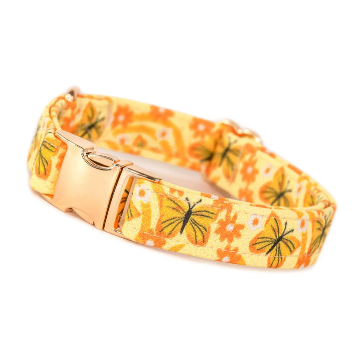 Buttercup - Groovy Yellow Butterfly Dog Collar