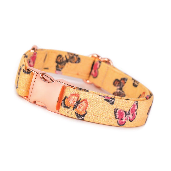 Butterfly Kisses - Butterfly Dog Collar