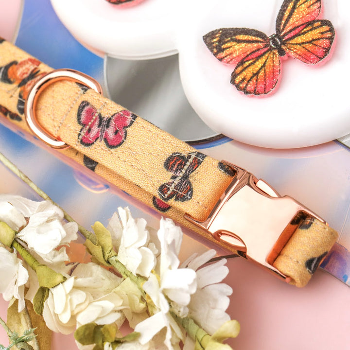 Butterfly Kisses - Butterfly Dog Collar