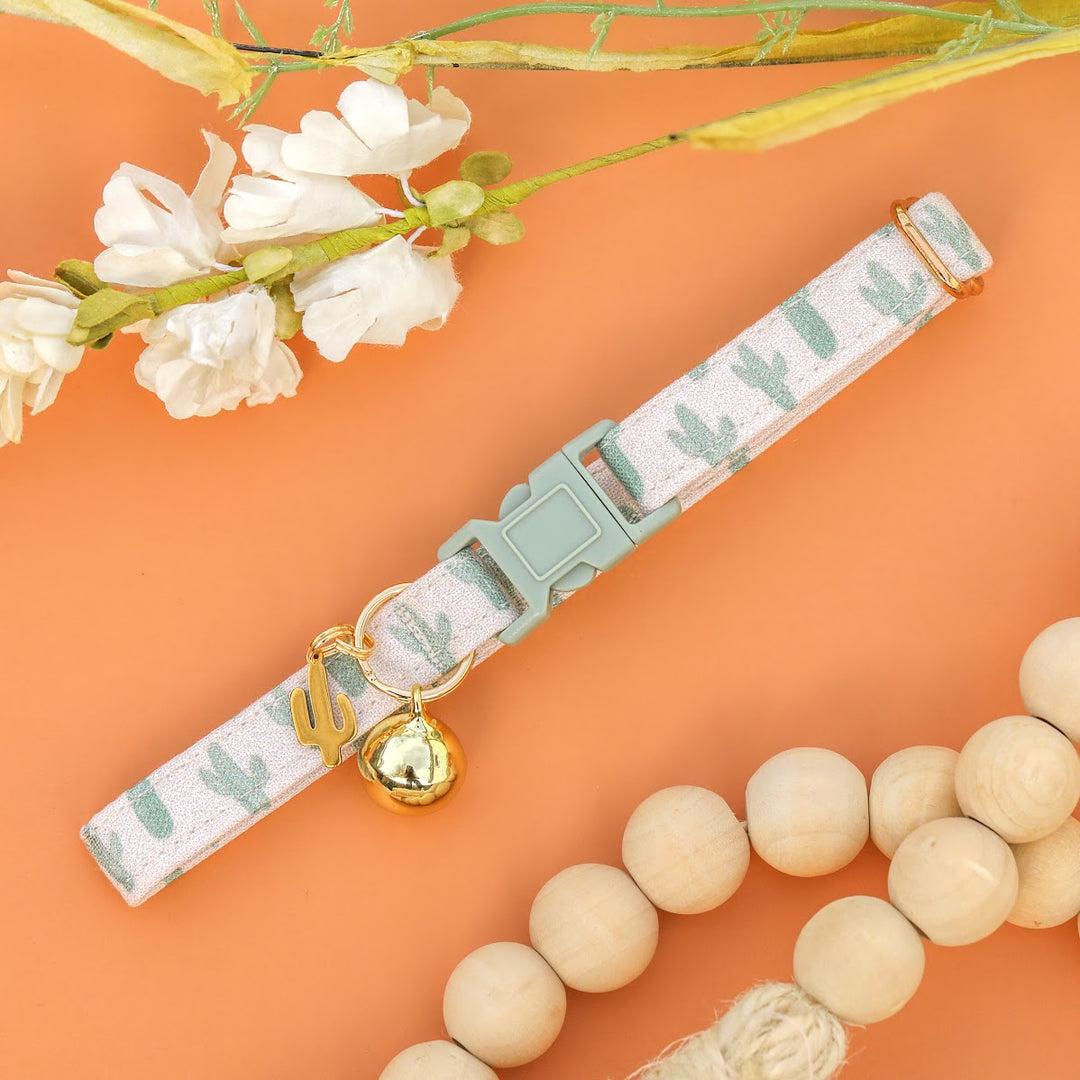 Don't Be A Prick - Minimalist Boho Desert Cactus Cat Collar