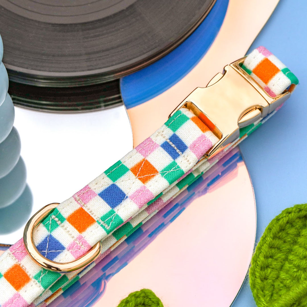 Check Me Out - Colorful Checkered Y2k Dog Collar