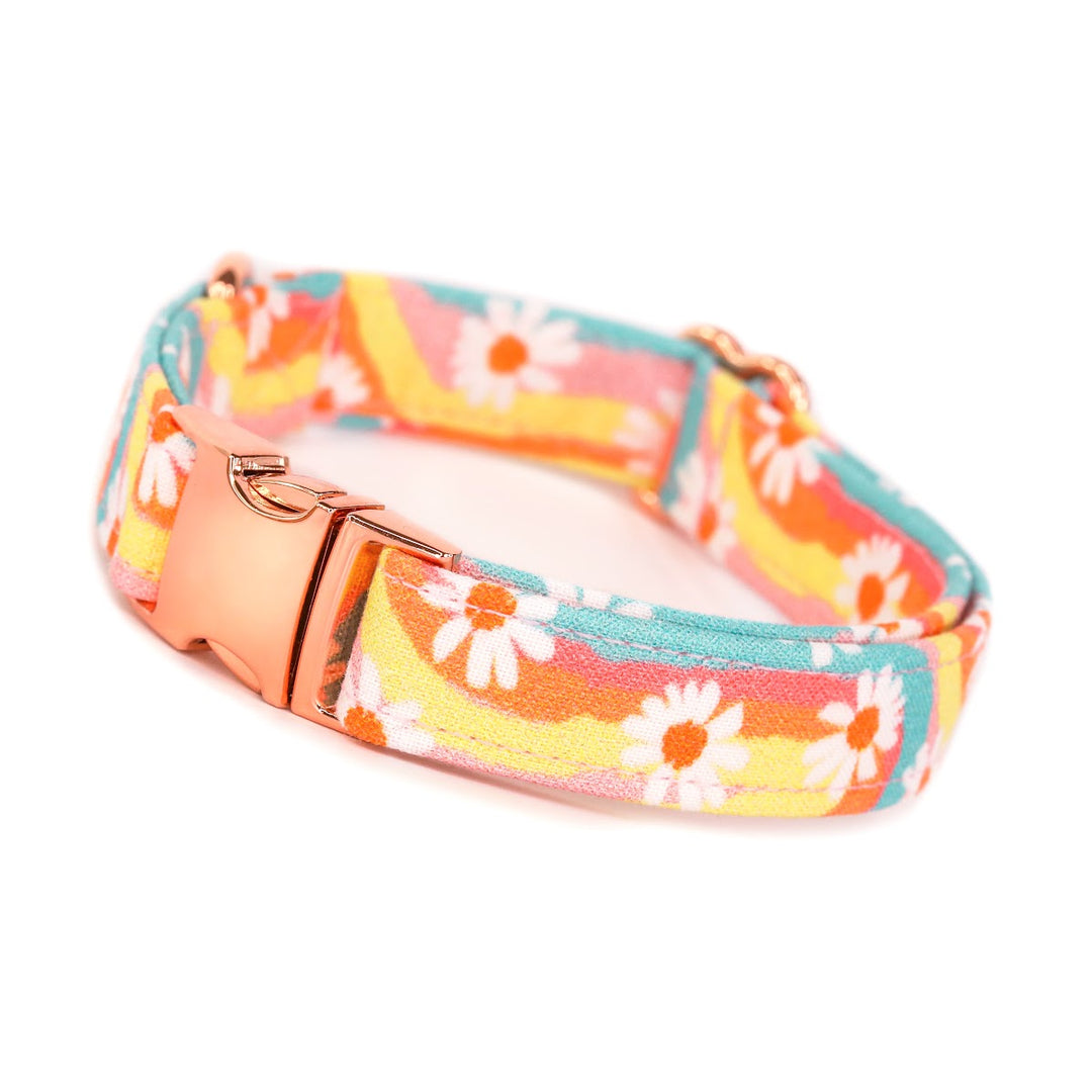 Daisy Me Rollin' - Groovy Retro Rainbow Daisy Dog Collar