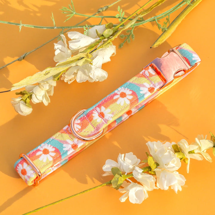 Daisy Me Rollin' - Groovy Retro Rainbow Daisy Dog Collar