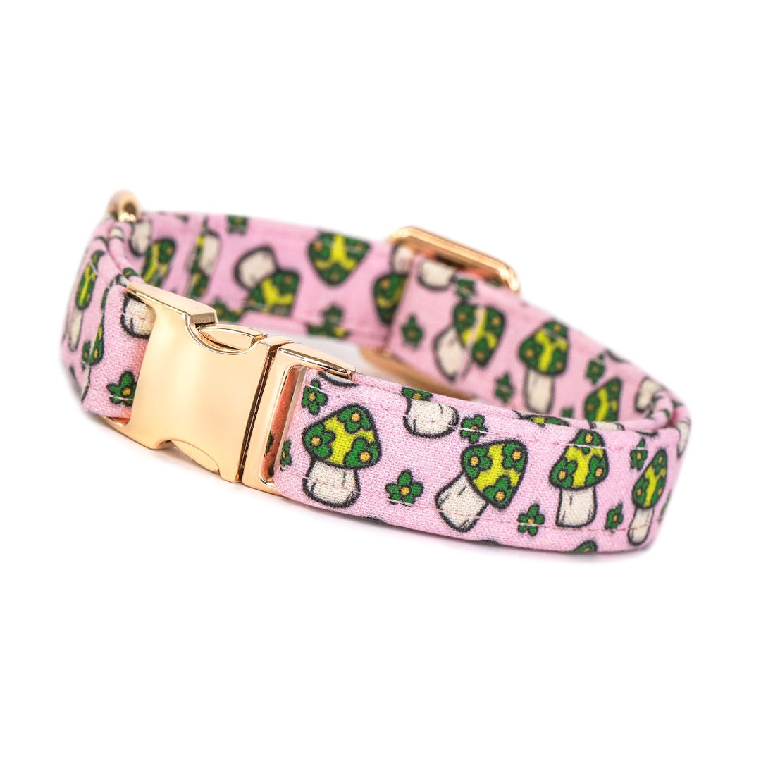 Are you Trippin’ - Groovy Floral Mushroom Dog Collar