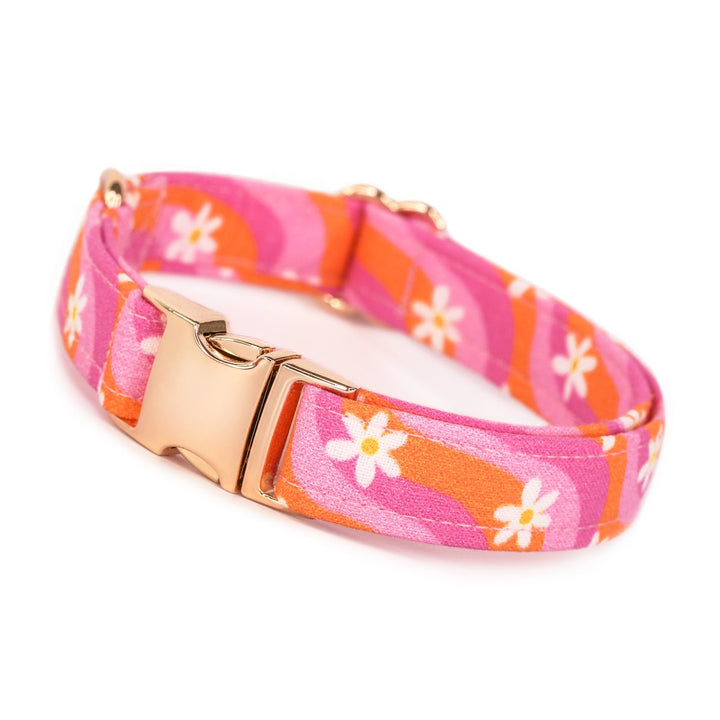 Daphne - Y2K Wavy Groovy Daisy Dog Collar