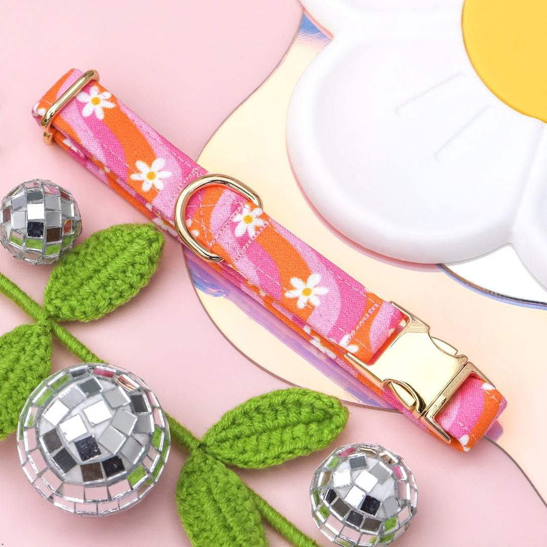 Daphne - Y2K Wavy Groovy Daisy Dog Collar