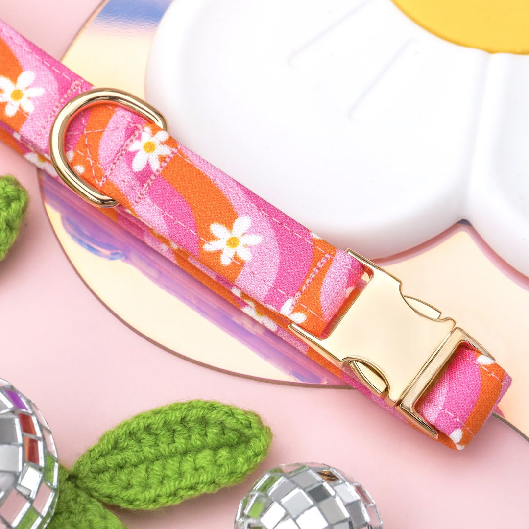 Daphne - Y2K Wavy Groovy Daisy Dog Collar