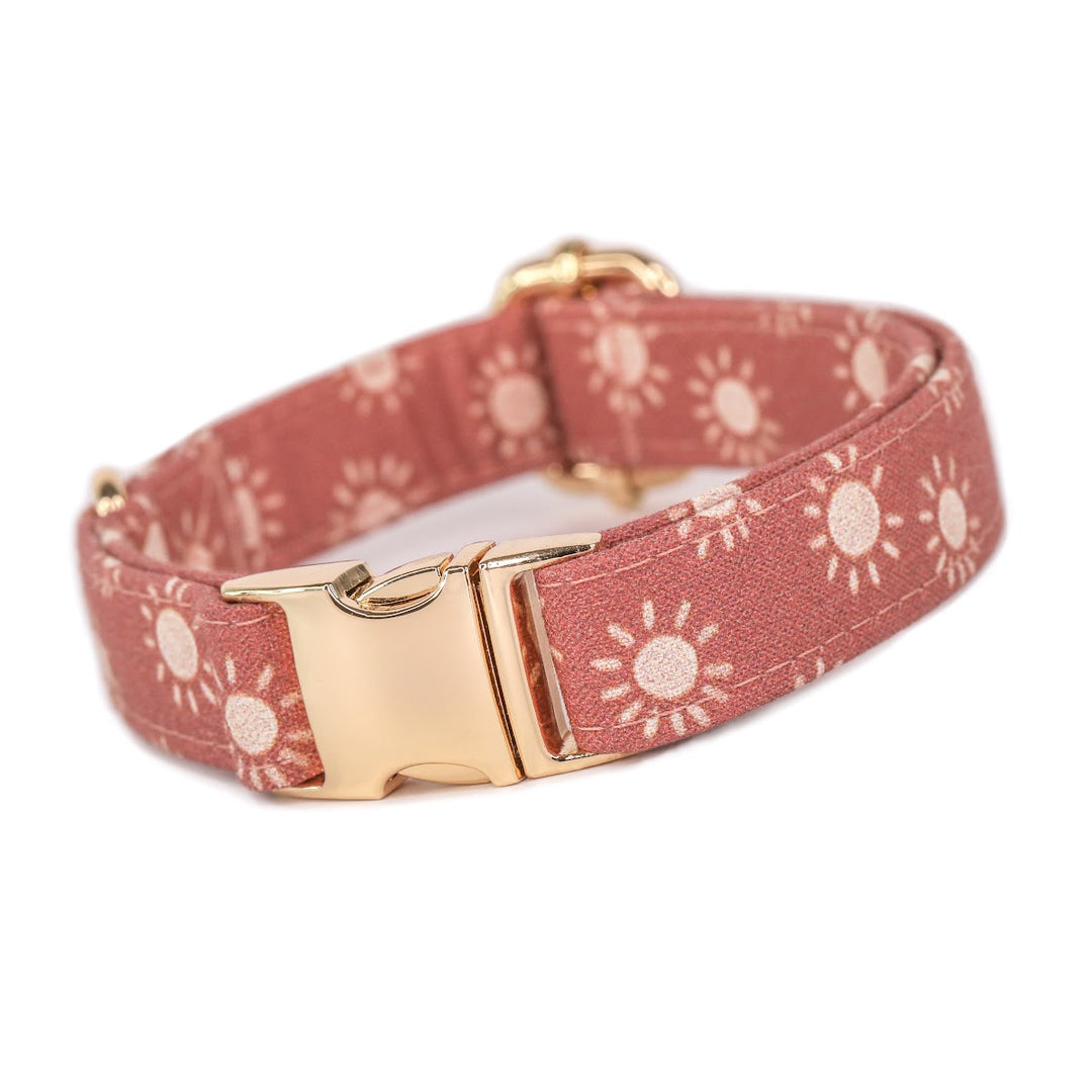 Chasing Sunsets - Desert Rose Boho Sun Dog Collar