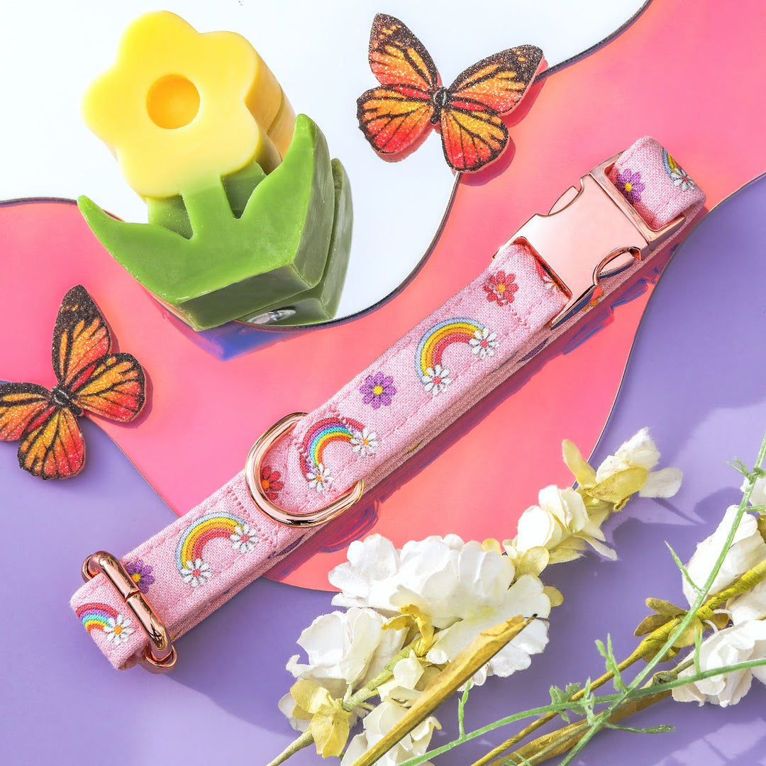 Free Spirit - Pink Rainbow Dog Collar