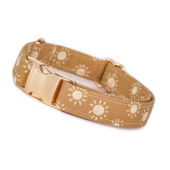 Chasing Sunsets - Camel Boho Sun Dog Collar