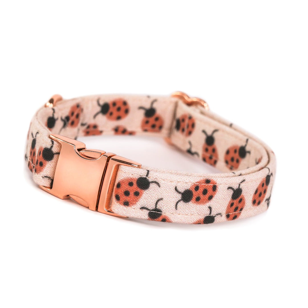 Leading Lady - Pink Ladybug Dog Collar