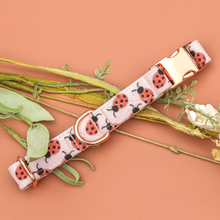 Leading Lady - Pink Ladybug Dog Collar