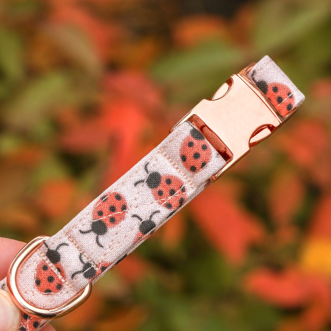 Leading Lady - Pink Ladybug Dog Collar