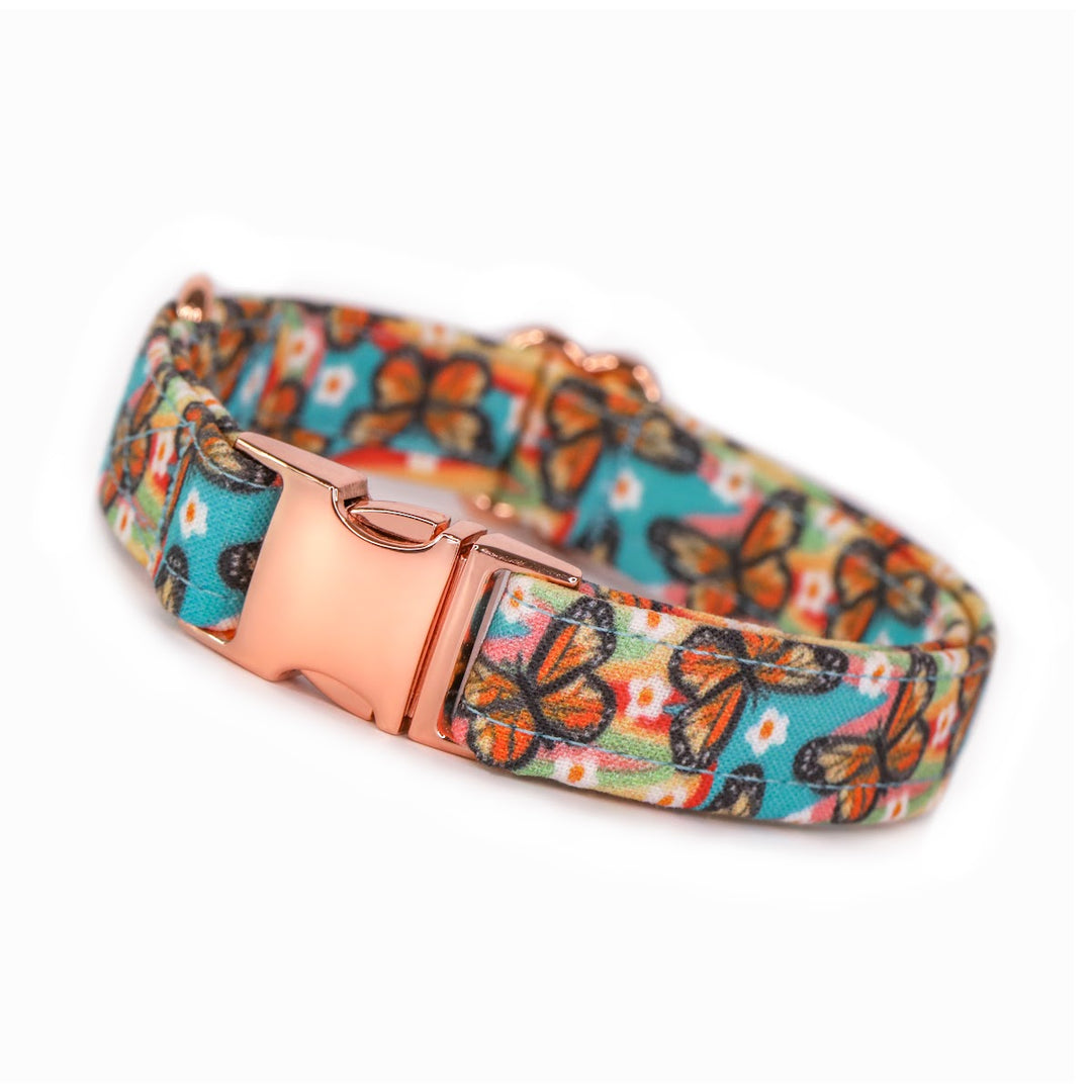 Monarchy - Retro Monarch Butterfly Dog Collar