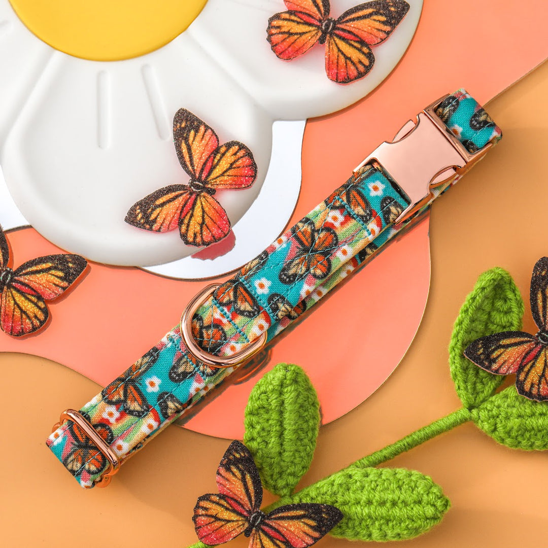 Monarchy - Retro Monarch Butterfly Dog Collar