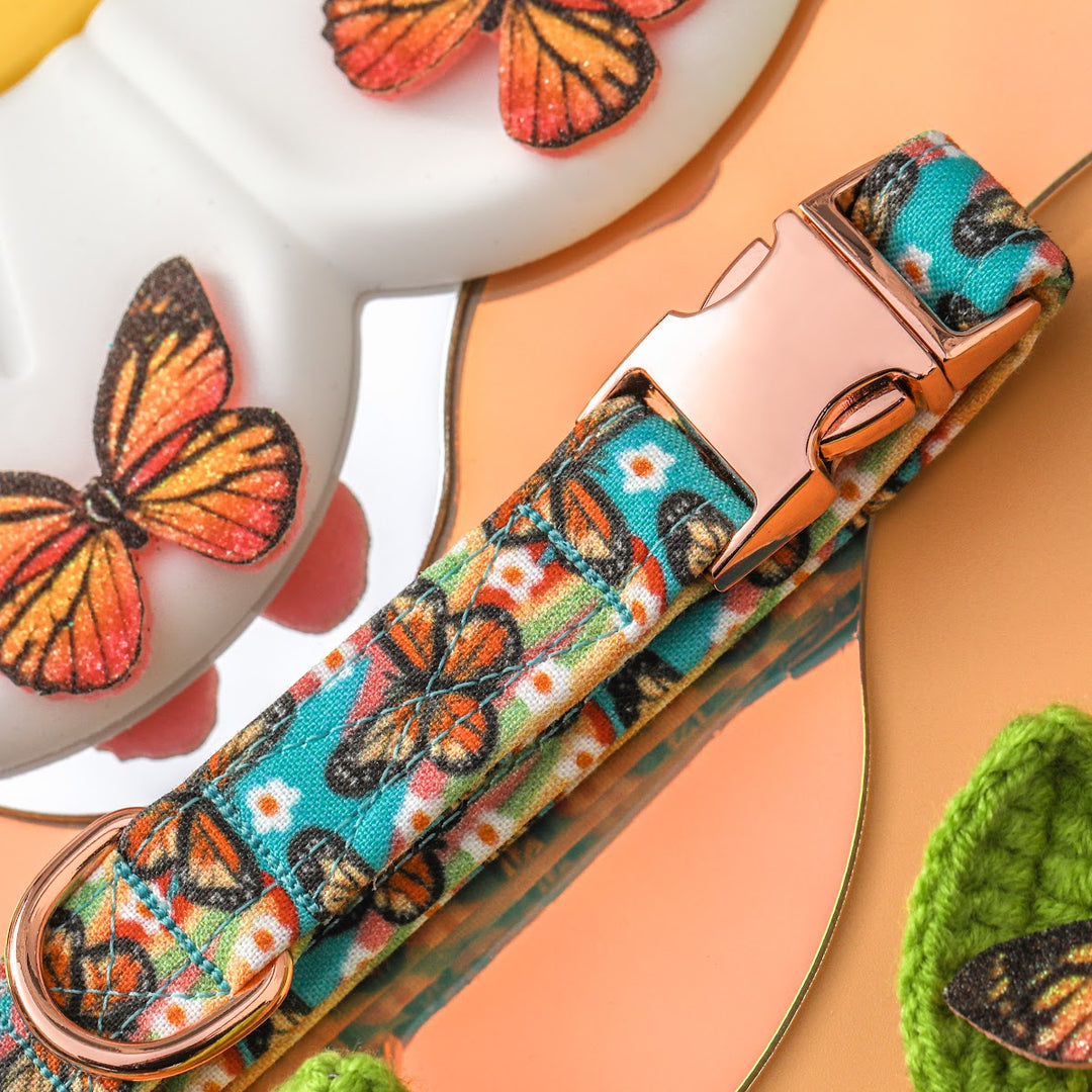 Monarchy - Retro Monarch Butterfly Dog Collar