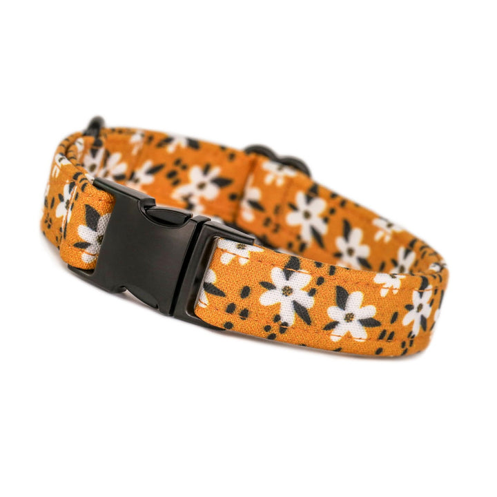 Best Buds - Mustard Gold Modern Floral Dog Collar