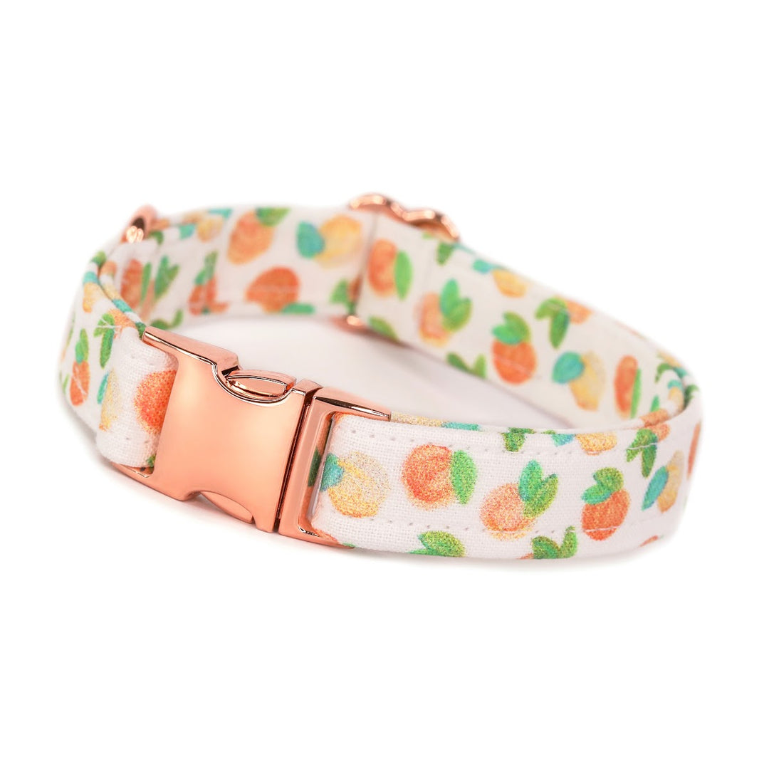 Just Peachy - Peach Dog Collar