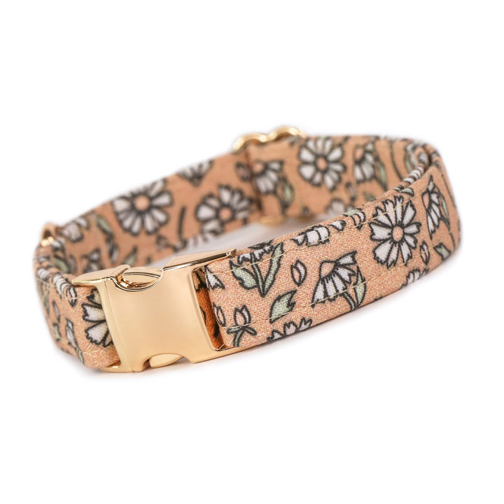 Keep Growing - Boho Floral Dog Collar