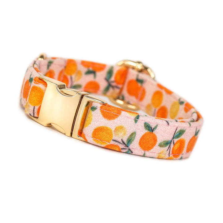 Clementine Cutie - Pink Clementine Dog Collar