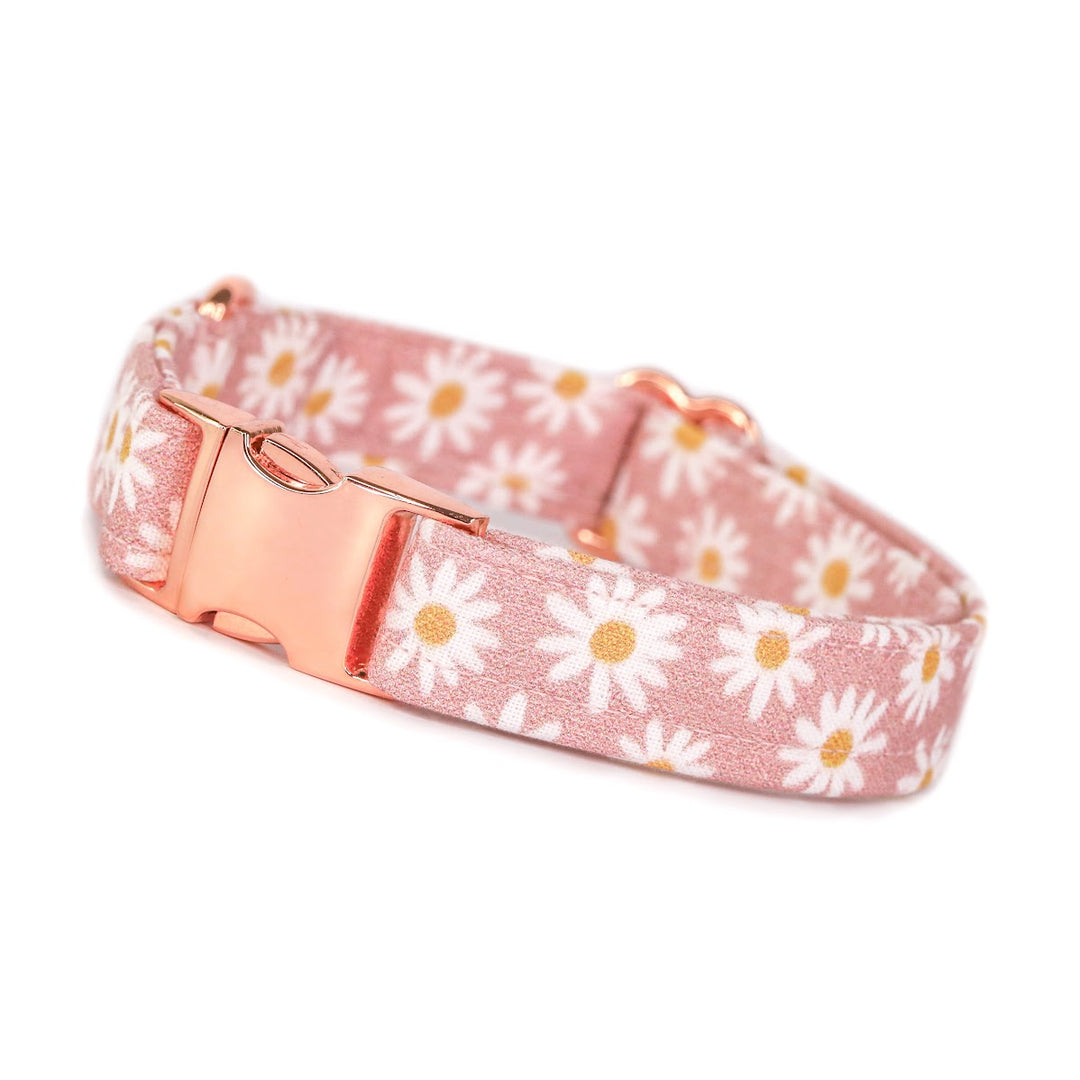 Oopsie Daisy - Pink Daisy Dog Collar