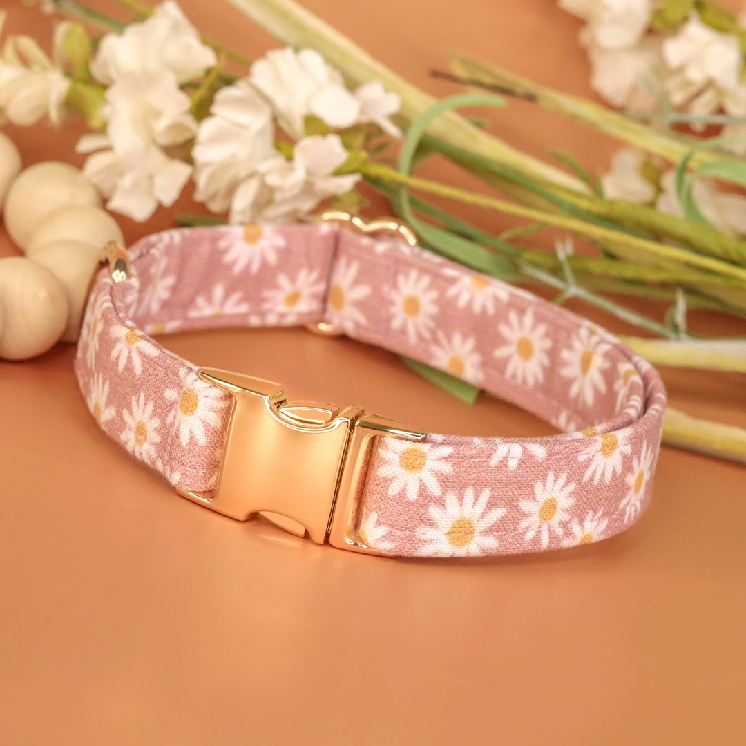 Oopsie Daisy - Pink Daisy Dog Collar