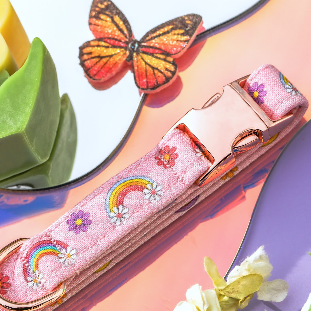 Free Spirit - Pink Rainbow Dog Collar