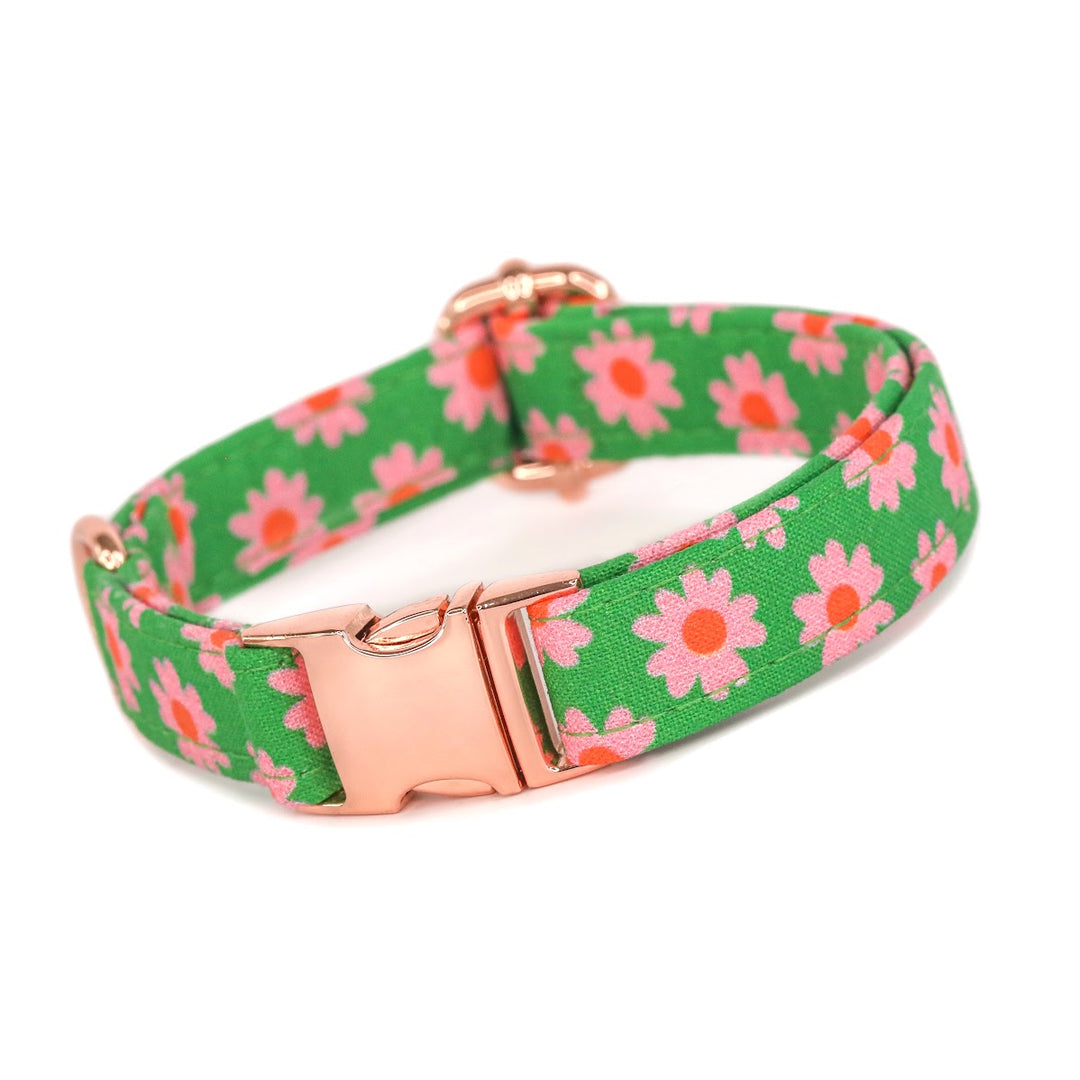 The Prep - Groovy Pink and Green Daisy Dog Collar