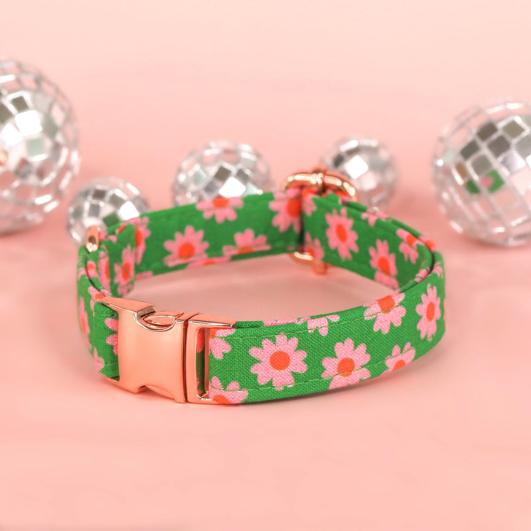 The Prep - Groovy Pink and Green Daisy Dog Collar