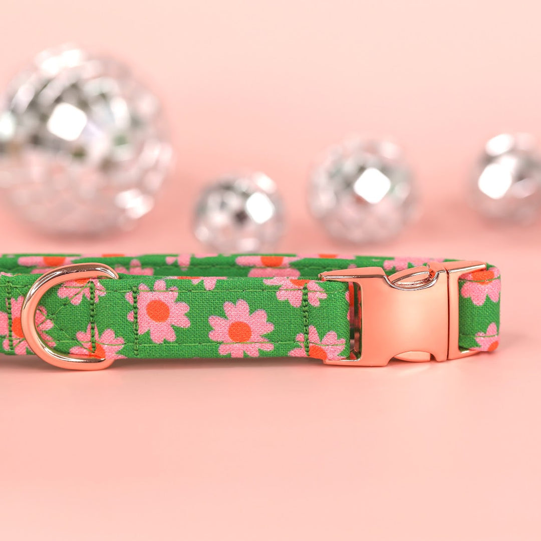 The Prep - Groovy Pink and Green Daisy Dog Collar