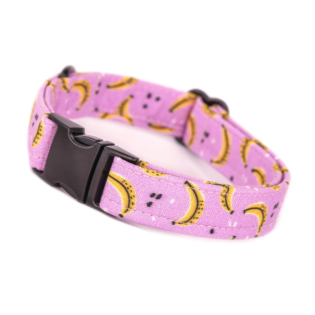 Go Bananas - Purple Banana Dog Collar