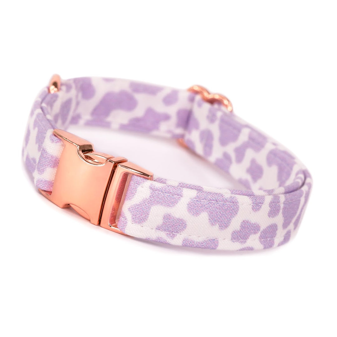 Making Mooves - Purple Cow Print Dog Collar