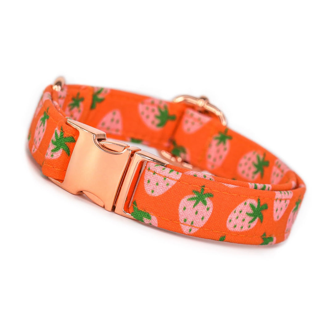 Summertime Sweet - Groovy Strawberry Dog Collar