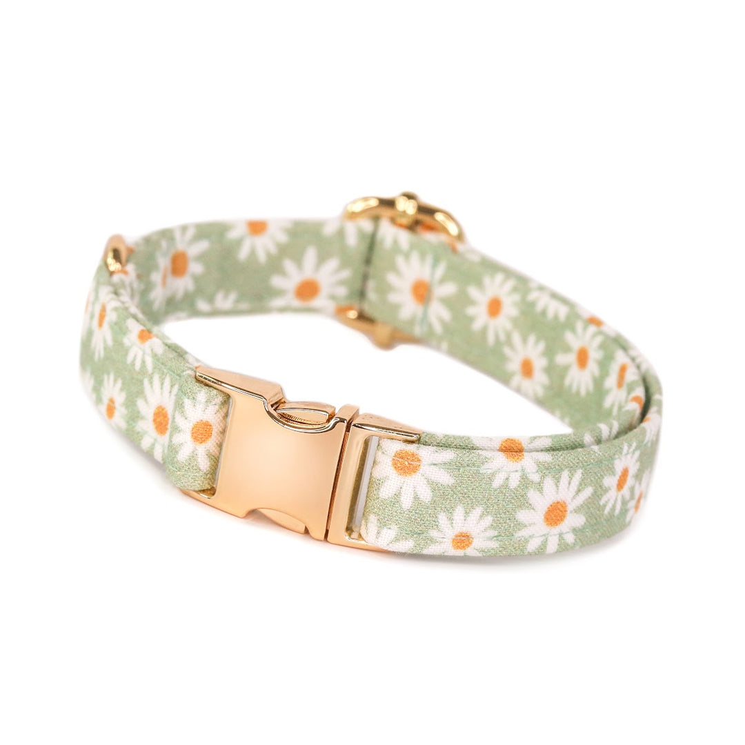 Oopsie Daisy - Sage Daisy Dog Collar