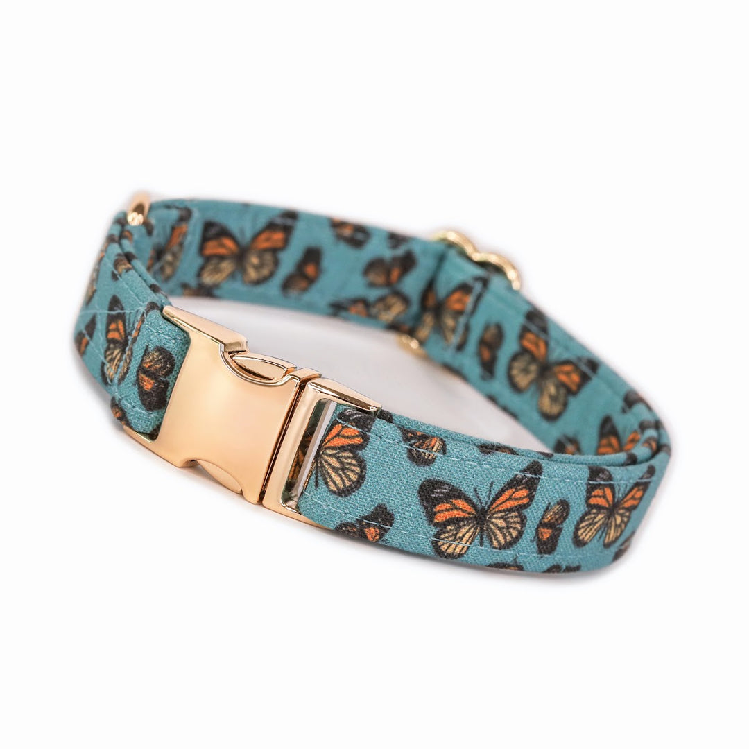 Social Butterfly - Blue Monarch Butterfly Dog Collar