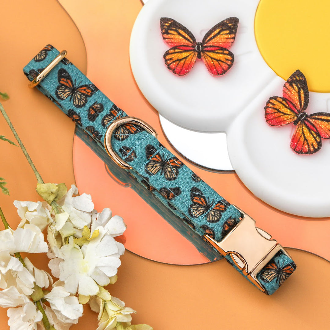 Social Butterfly - Blue Monarch Butterfly Dog Collar